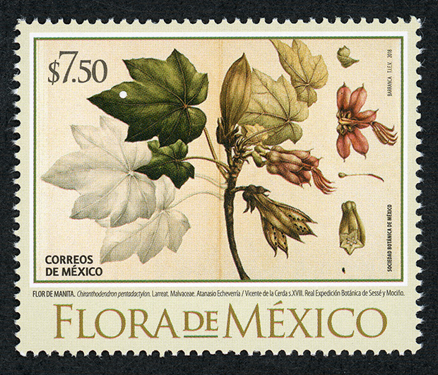 Flora de México